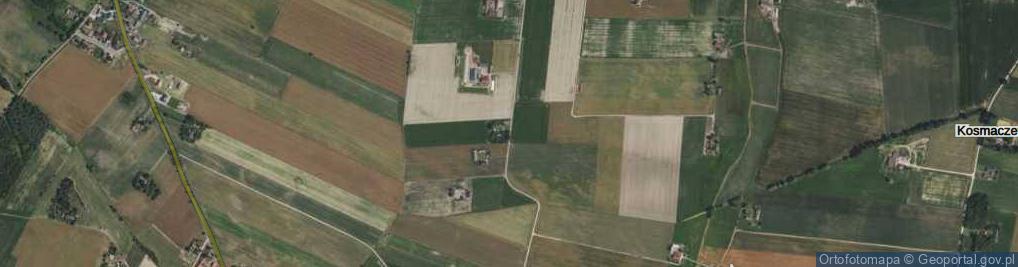 Zdjęcie satelitarne Nowe Kowalewo ul.